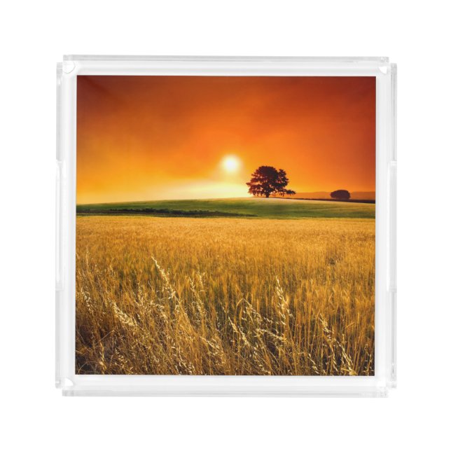 Blood-Red Sunset Acrylic Tray (Front)