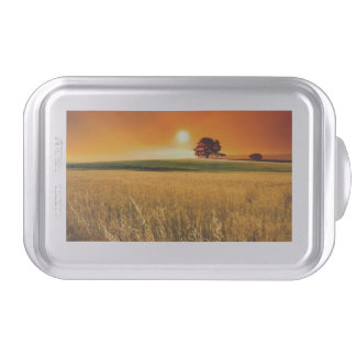 Blood-Red Sunset Cake Pan