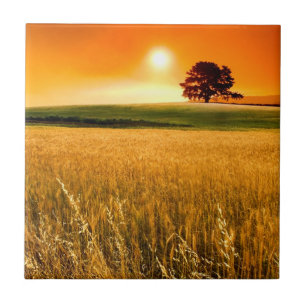 Blood-Red Sunset Ceramic Tile