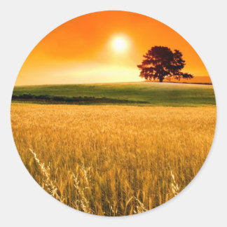 Blood-Red Sunset Classic Round Sticker