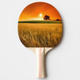 Blood-Red Sunset Ping Pong Paddle