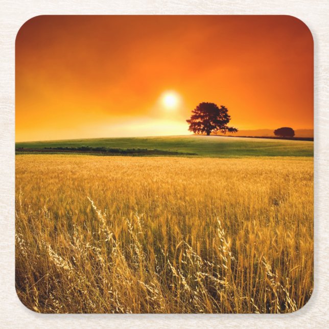 Blood-Red Sunset Square Paper Coaster (Front)