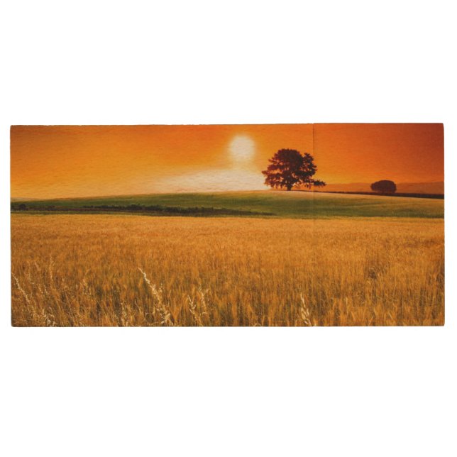 Blood-Red Sunset Wood USB Flash Drive (Front)