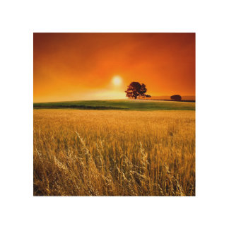 Blood-Red Sunset Wood Wall Decor