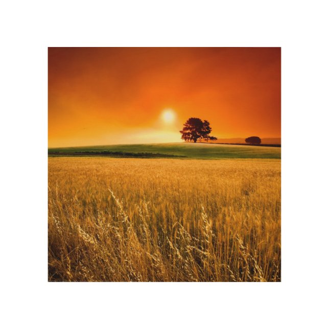 Blood-Red Sunset Wood Wall Decor (Front)