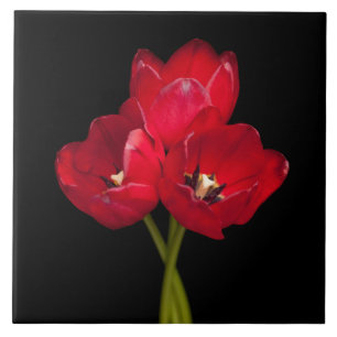 Blood Red Tulips on Black Background Customized Tile