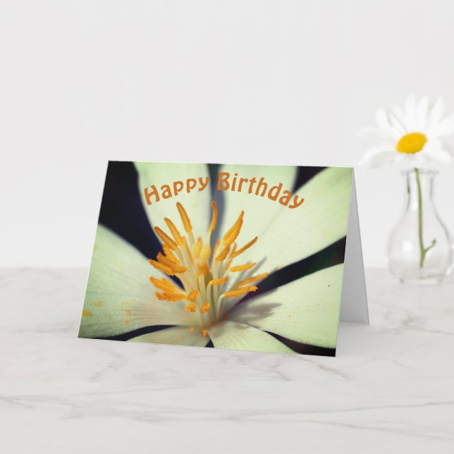 Blood Root Flower Center Birthday  Card (Small Plant)