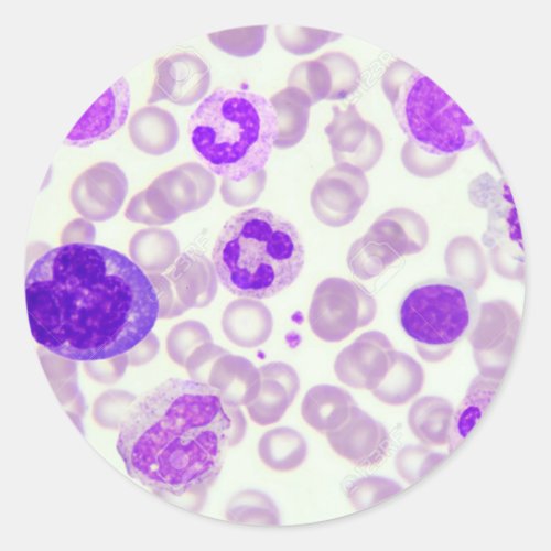 blood smear sticker