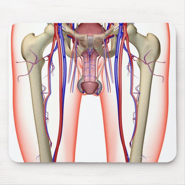 Blood Supply Mouse Pad (Front)