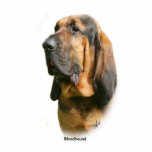 Bloodhound 9Y404D-135 Cutout<br><div class="desc">This unique design is from an original signed photograph of a Bloodhound, taken by leading animal photographer Michael M Trafford.</div>