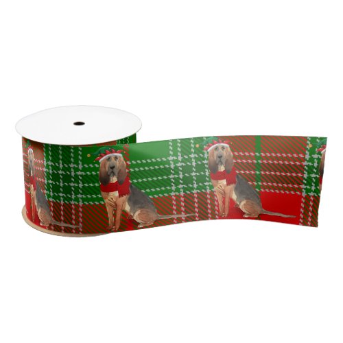 Bloodhound and Holiday Plaid Funny Dog Christmas Satin Ribbon