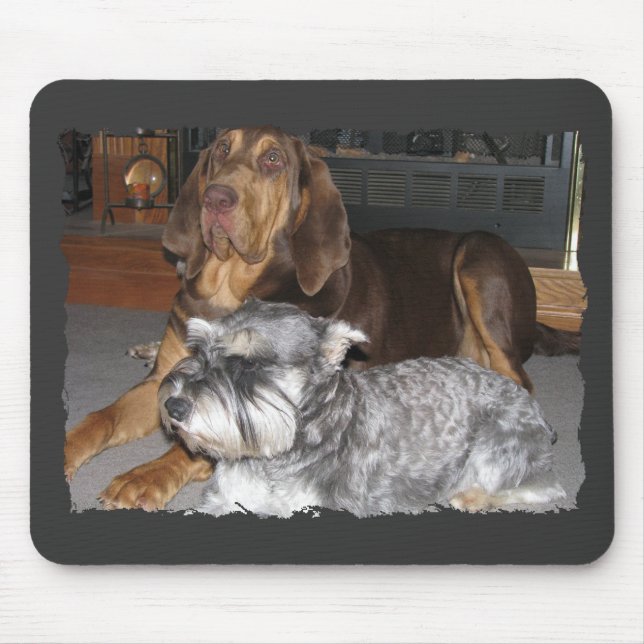 Bloodhound and Miniature schnauzer Mousepad (Front)