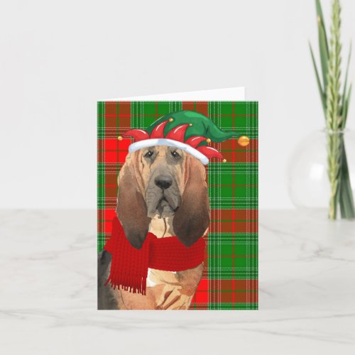 Bloodhound and Seasonal Plaid Christmas Holiday Card