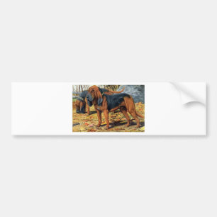 Bloodhound Bumper Sticker