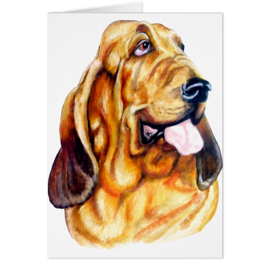 Bloodhound Bust Cards (Front)