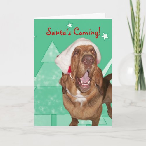 Bloodhound Christmas Card