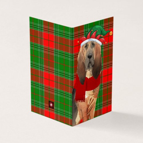 Bloodhound Christmas Dog with Holiday Plaid