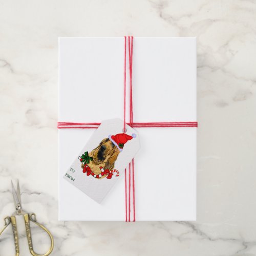 Bloodhound Christmas Gift Tags