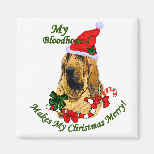 Bloodhound Christmas Gifts Magnet