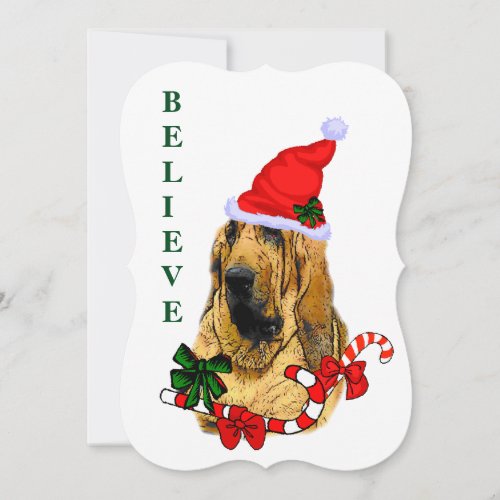 Bloodhound Christmas Holiday Card