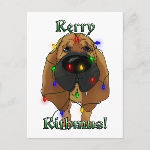 Bloodhound _ Christmas Lights Holiday Postcard