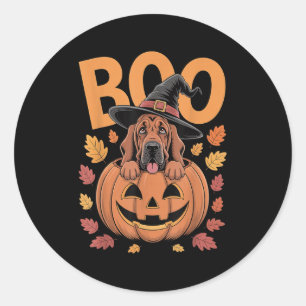 Bloodhound Costume On Pumpkin Halloween Bloodhound Classic Round Sticker