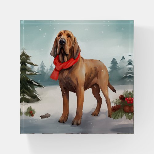 Bloodhound Dog in Snow Christmas Paperweight