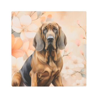 Bloodhound Dog Lover and Peach Blossoms Metal Print