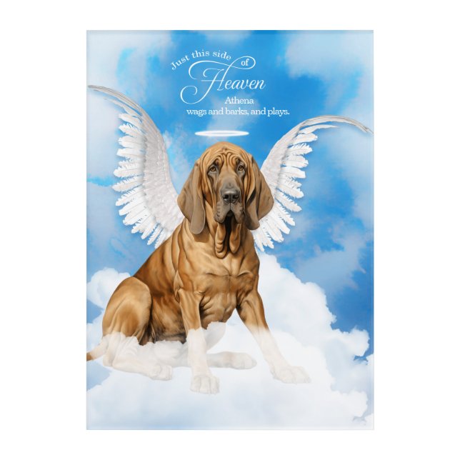 Bloodhound Dog Personalized Pet Memorial Acrylic Print (Front)