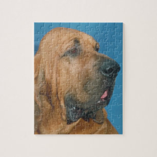 Bloodhound Dog Puzzle