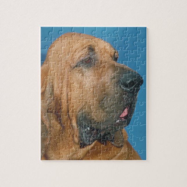 Bloodhound Dog Puzzle (Vertical)