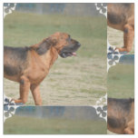 Bloodhound Fabric