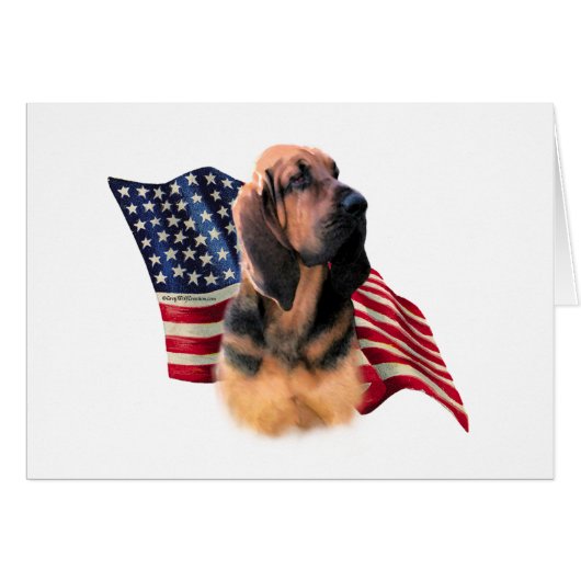 Bloodhound Flag Cards (Front Horizontal)