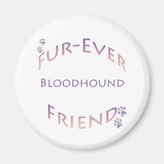 Bloodhound Furever Magnet