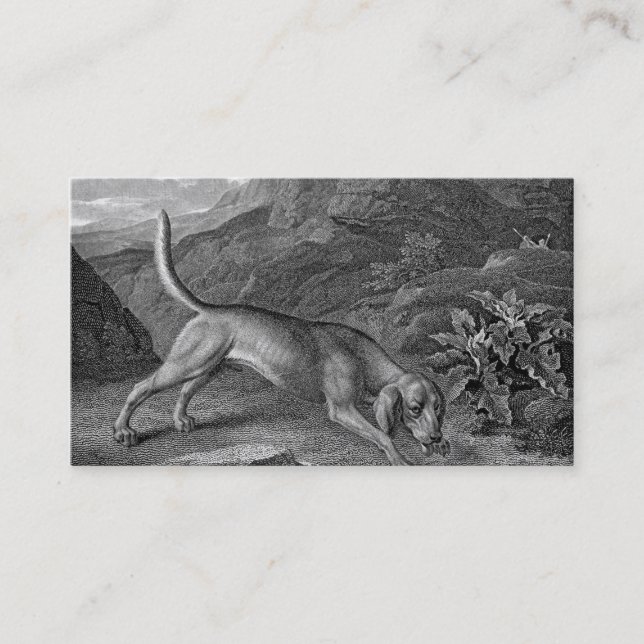 Bloodhound in Black and White Business Card (Front)