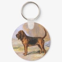 Bloodhound