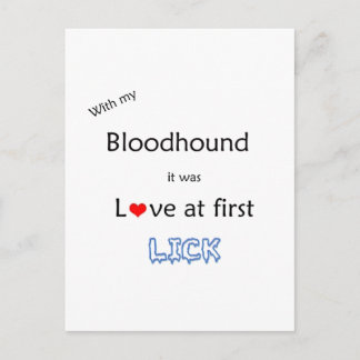 Bloodhound Love at First Lick Postcard