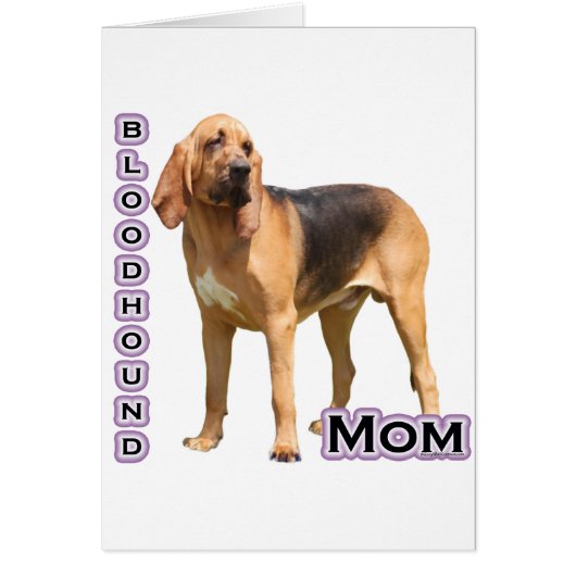 Bloodhound Mom 4 (Front)