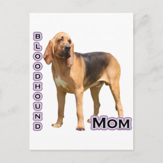 Bloodhound Mom 4 Postcard