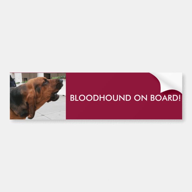 Bloodhound On Board Bumper Sticker (Front)