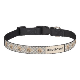 Bloodhound Painting - Cute Original Dog Art Pet Collar