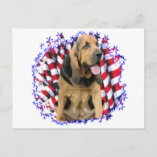 Bloodhound Patriot Postcard