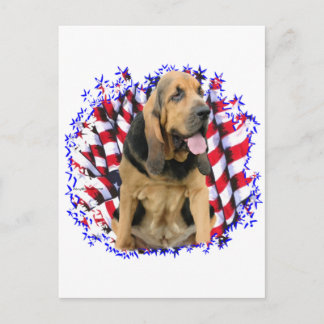 Bloodhound Patriot Postcard