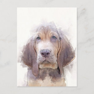 Bloodhound Puppy Portrait Postcard