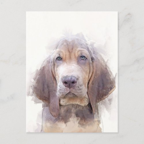 Bloodhound Puppy Portrait Postcard