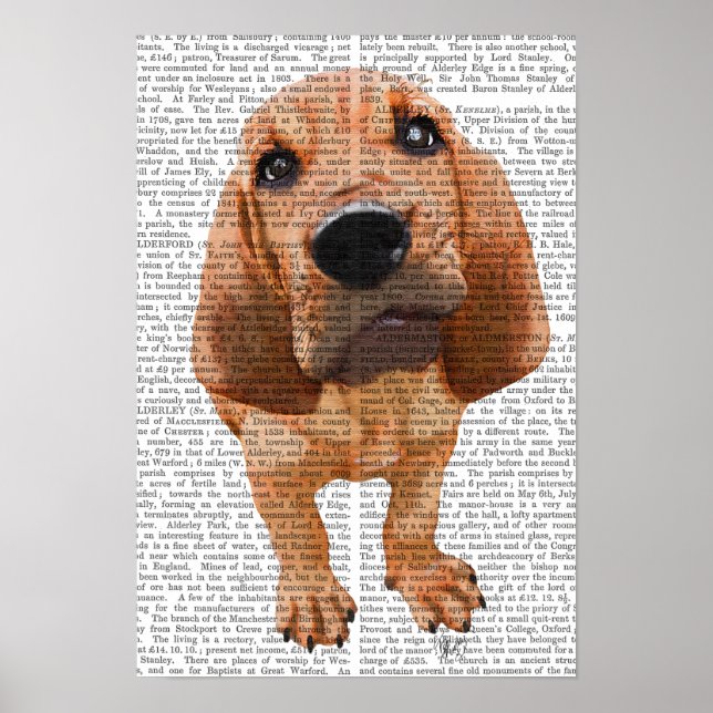 Bloodhound Puppy Poster (Front)