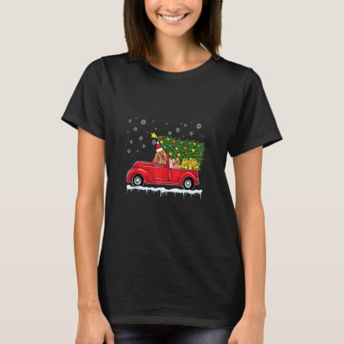 Bloodhound Red Car Truck Christmas Tree Funny Sant T_Shirt