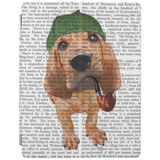 Bloodhound Sherlock Holmes 2 iPad Air Cover (Front)