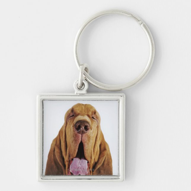 Bloodhound (St. Hubert Hound) with closed eyes, Keychain (Front)