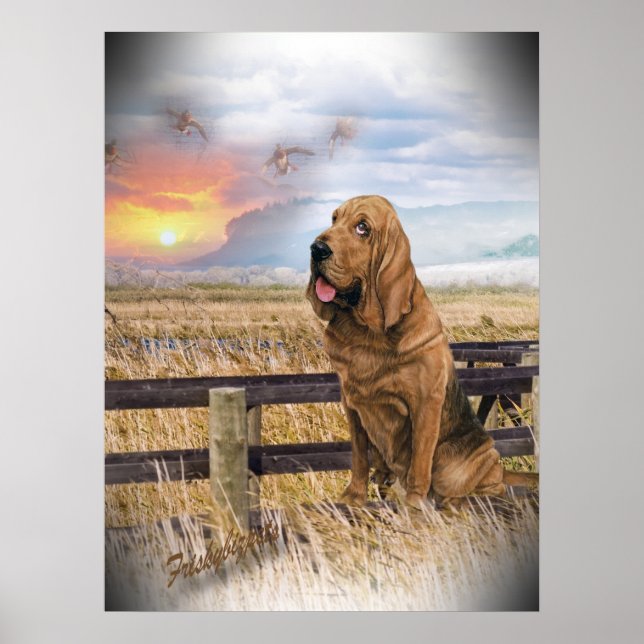 Bloodhound Sunset Poster (Front)